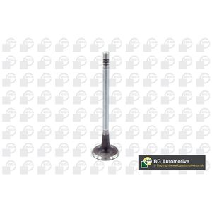 BGA Inlet Valve V203632