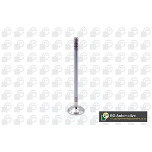 BGA Exhaust Valve V203633