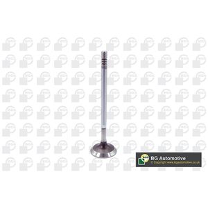 BGA Inlet Valve V204954