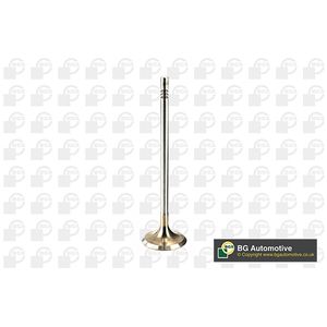 BGA Inlet Valve V205096