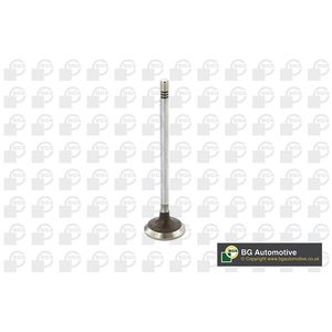 BGA Inlet Valve V229199