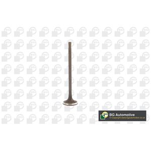 BGA Exhaust Valve V230711