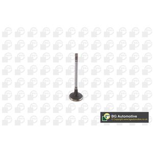 BGA Inlet Valve V232015
