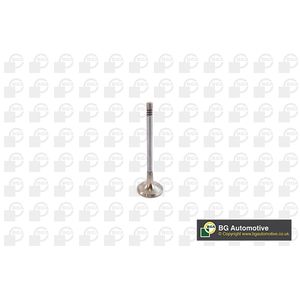 BGA Exhaust Valve V232016