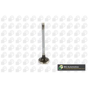 BGA Exhaust Valve V424832