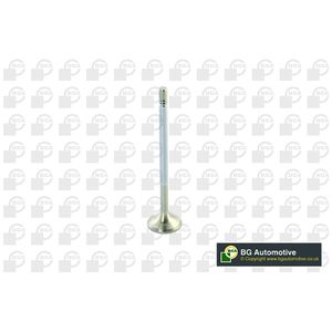 BGA Exhaust Valve V560010