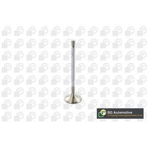BGA Inlet Valve V560011