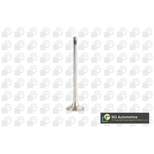 BGA Exhaust Valve V561128