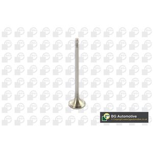 BGA Exhaust Valve V591501