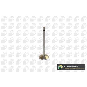 BGA Inlet Valve V591701