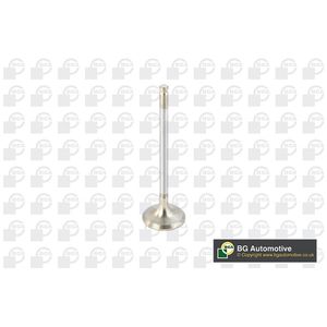 BGA Exhaust Valve V820011