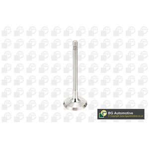 BGA Exhaust Valve V991760