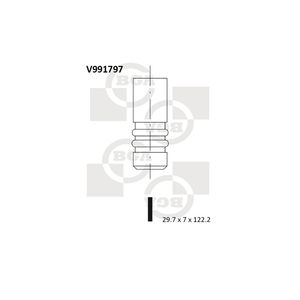 BGA Inlet Valve V991797