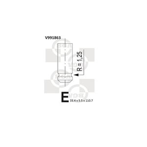 BGA Inlet Valve V991863
