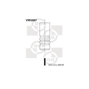 BGA Inlet Valve V991867