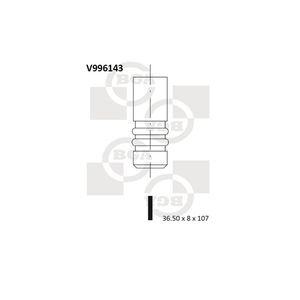 BGA Inlet Valve V996143