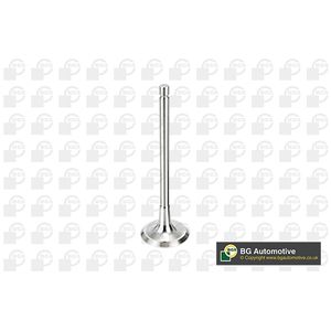 BGA Inlet Valve V998716