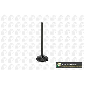 BGA Inlet Valve V998745