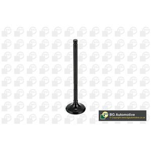 BGA Exhaust Valve V998746