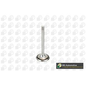 BGA Inlet Valve V998902