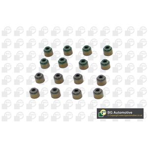 BGA Valve Stem Seal VK1336