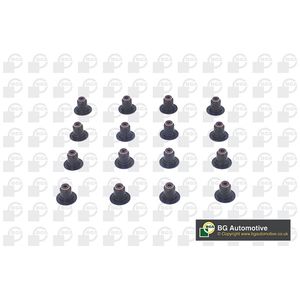 BGA Valve Stem Seal VK1379