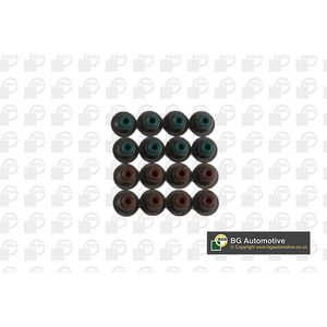 BGA Valve Stem Seal VK4372