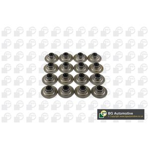 BGA Valve Stem Seal VK5343