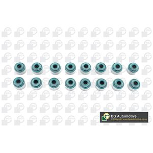 BGA Valve Stem Seal VK5367