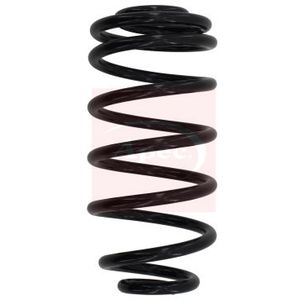 Apec Coil Spring Rear ACS1028