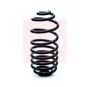Apec Coil Spring Rear ACS1250