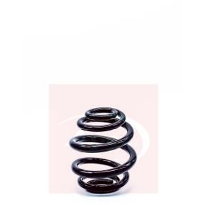 Apec Coil Spring Rear ACS1296
