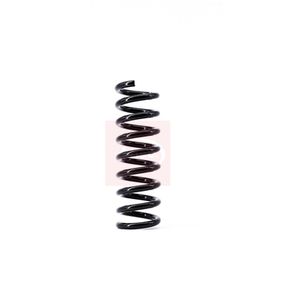 Apec Coil Spring Rear ACS1383