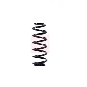 Apec Coil Spring Rear ACS1391