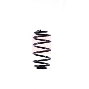 Apec Coil Spring Rear ACS1392