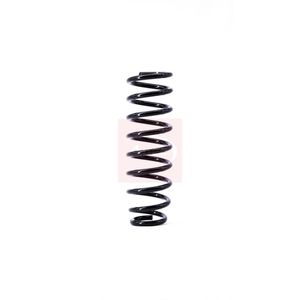 Apec Coil Spring Rear ACS1396