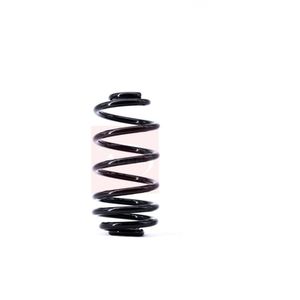 Apec Coil Spring Rear ACS1418