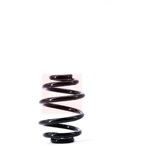Apec Coil Spring Rear ACS1469