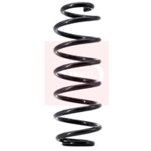 Apec Coil Spring Rear ACS1479