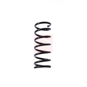 Apec Coil Spring Rear ACS1490