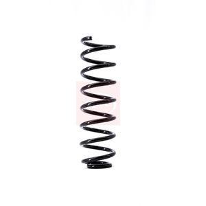 Apec Coil Spring Front ACS1515