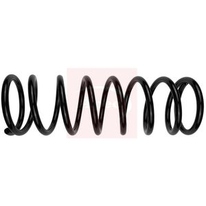 Apec Coil Spring Rear ACS1808