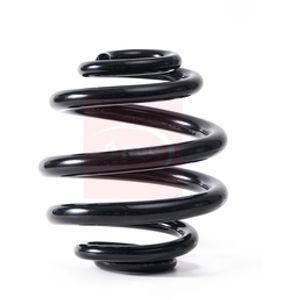 Apec Coil Spring Rear ACS1841