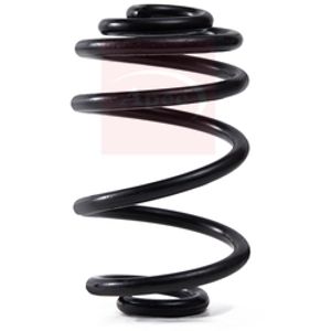 Apec Coil Spring Rear ACS2001