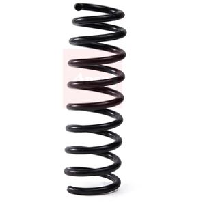 Apec Coil Spring Rear ACS2020