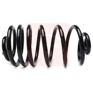 Apec Coil Spring Rear ACS2073