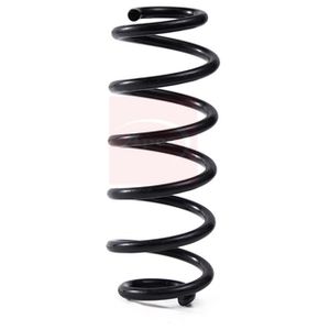 Apec Coil Spring Rear ACS2087