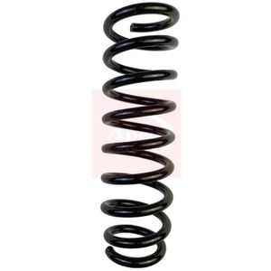 Apec Coil Spring Rear ACS2091