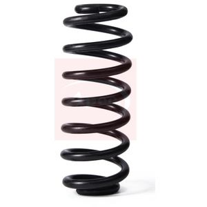 Apec Coil Spring Rear ACS2199