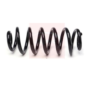 Apec Coil Spring Rear ACS2227